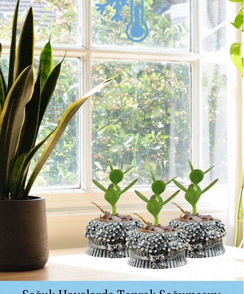 Mini Çiçek Saksı Küçük Sukulent Gümüş Eskitme Kaktüs Saksısı 3lü Set Çiçekli Fiyonklu Model